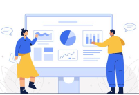 Audit and Consulting